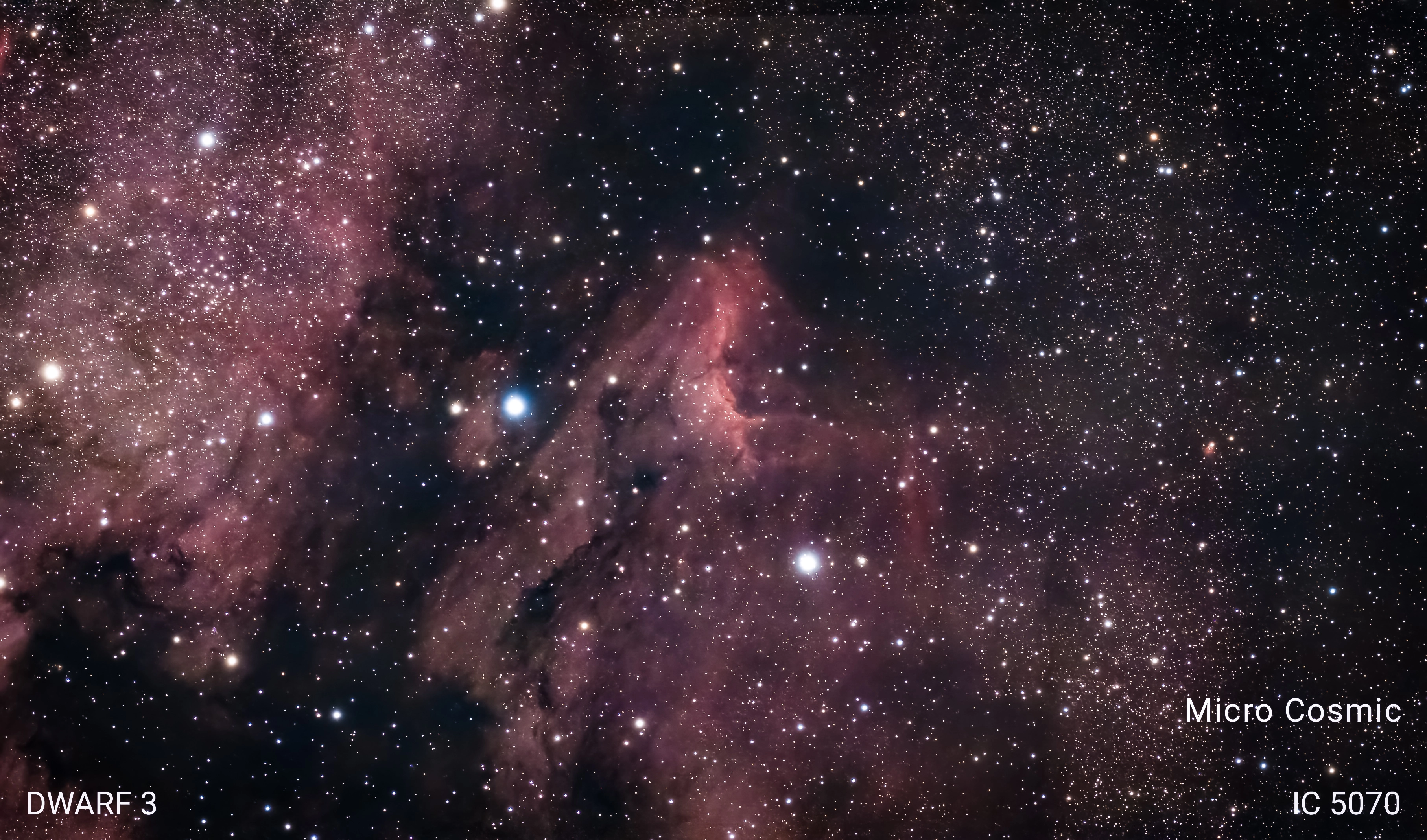 The Pelican Nebula captured using the Dwarf 3